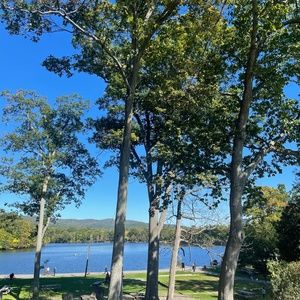 Meet your Posher, Maurice